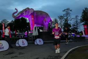 BIB: 
                            <button type="button" onclick="openModal(26529712)" class="btn btn-primary btn-sm float-right btn-popup" data-toggle="modal" data-target=".modal-high-quality">
                        <i class="fas fa-shopping-cart"></i> Add to Cart
                    </button>
                                            <button type="button" onclick="isThisMe(26529712, true)" class="btn btn-success btn-sm float-right btn-popup btn-isme hidden" data-toggle="tooltip" data-placement="bottom" title="นี่คือรูปของคุณใช่ไหม คลิกที่นี่เพื่อเอาเข้าอัลบั้ม">
                        <i class="fas fa-plus"></i> Add to album
                    </button>
                    <button type="button" onclick="isThisMe(26529712, false)" class="btn btn-warning btn-sm float-right btn-popup btn-isnotme hidden">
                        <i class="fas fa-ban"></i> Remove from album
                    </button>